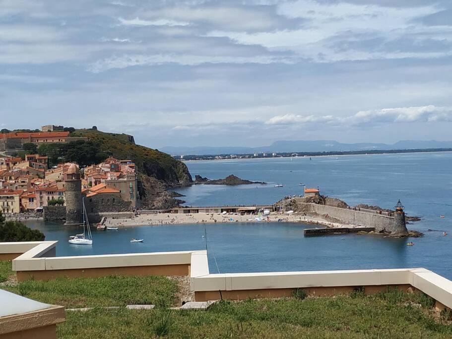 Location Vue Mer Du Samedi Au Samedi, Clim, Parking, Piscine, Plage Коллиур Экстерьер фото